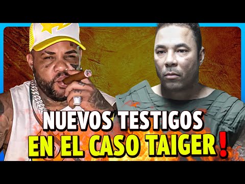 ÚLTIMOS DETALLES SOBRE JUICIO DEL TAIGER 🔥 La Ninfa y Yordi SE FAJAN DURÍSIMO 😱