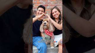Milk-Bone Supergirl Dinner! BluRayAngel