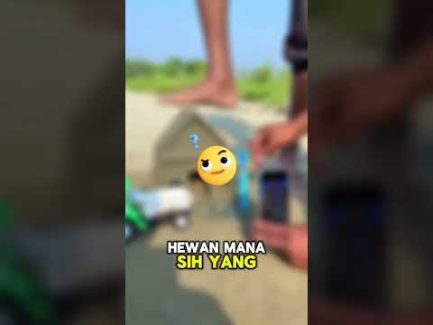 lihat hasil nya sangat mengejutkan # shorts