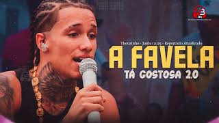Theuzinho Junho 2025 - A Favela Tá Gostosa 2.0 - Repertório Novo - Theuzinho 2025