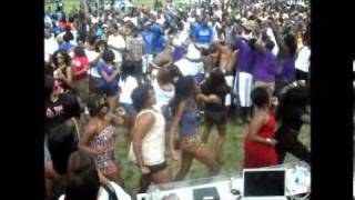 Deltas @ Nashville Greek Picnic.wmv