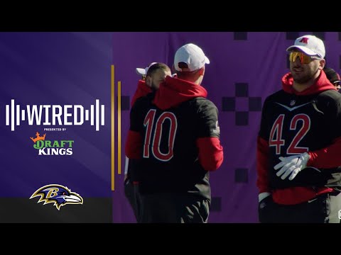 Wired: Patrick Ricard Mic'd Up at Pro Bowl | Baltimore Ravens video clip