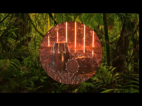 Wiwek - Dhol Life