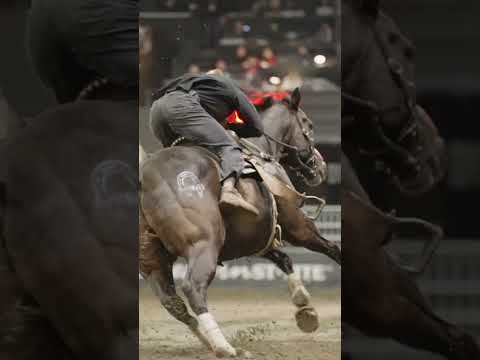 Raise your hand if you want to see this event at the next Olympics!  #crazy #horse #horseriding