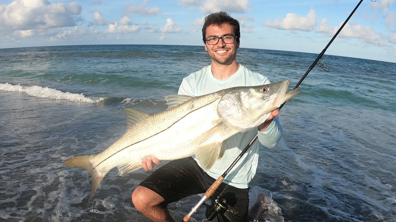 GIANT Snook Fishing - Mullet Run 2018