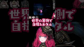 世界の裏側で自撮るホタル 🐍夜配信あり予定 #VShojoNOVA #暁月ホタル