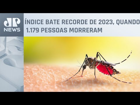 Número de mortos por dengue no Brasil chega a 3.038