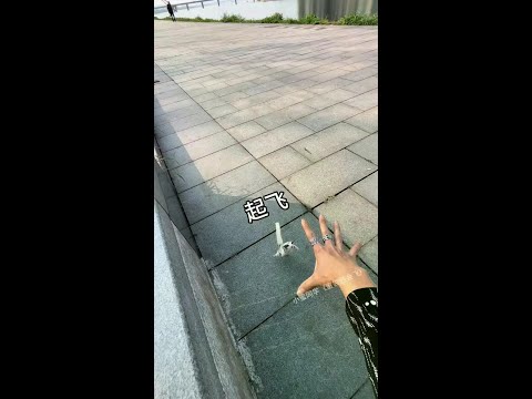 First Person Perspective #Original Video #Magical Animals On Douyin
