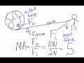Understanding Simple Machines