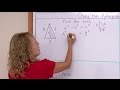 Triangle Area and Properties Assessment
