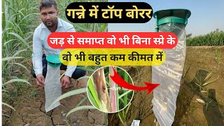 अब होगा गन्ने में टॉप बोरर जड़ से समाप्त वो भी बिना स्प्रे के वीडियो को जरूर देखेंSugarcane TopBorer