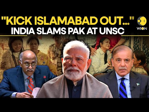 India SLAMS Pakistan At UNSC Over 'Decades of Islamabad-Sponsored Terrorism' | Operation Sindoor