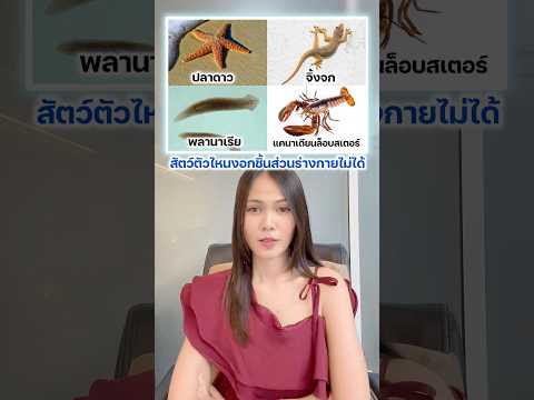 เอาไง ตัวไหนงอกใหม่ได้ #วิทยาศาสตร์ #รายการไวรัล