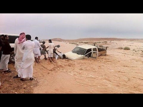 امطار وادي قاوه بالشفا ‎#الطايف_الان