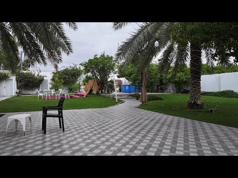 استراحة مبروكه النصيان الصغيره للايجار حي الحقل الاخضر اللسيب غرب بريده  للحجز واتس اب 0541302999
