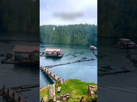 Floating Houses on Water #shorts