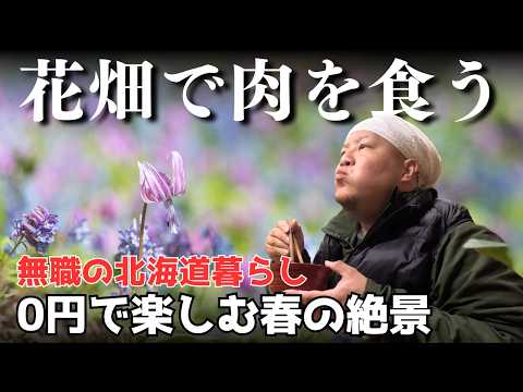 春の絶景！一面の花畑を巡る車旅【北海道】