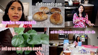 Ya Las Traigo Hartas Con Mi Pan 🤣  Recogiendo La Cocina 😴 Quien Me Enseño Todo Lo Que Se 