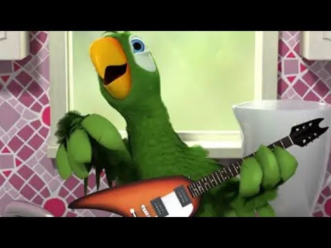 Talking Pierre The Parrot Funny Moments Live Part1