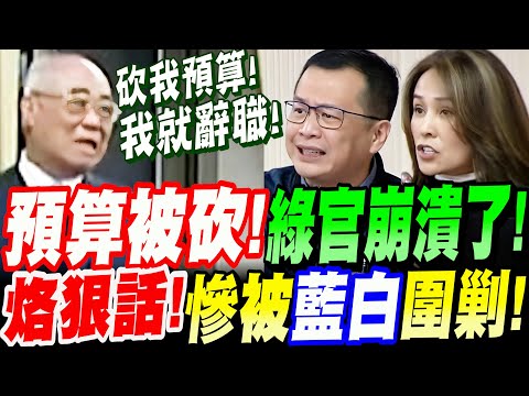 【AI字幕】海基會預算被砍到崩潰！老董出來烙狠話！嗆亂審！慘遭藍白在野圍剿！立院海基會預算審查 羅智強、高金素梅、牛煦庭等立委