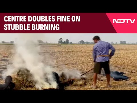 Stubble Burning News | Central Government Doubles Fine On Stubble Burning After SC Rap & Other News