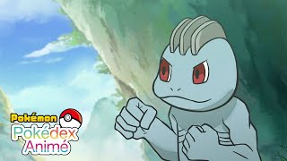 Machoc No 0066 | Pokédex animé