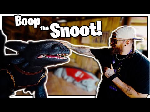 The Ultimate Snoot Boop – TOOTHLESS at Epic Universe!
