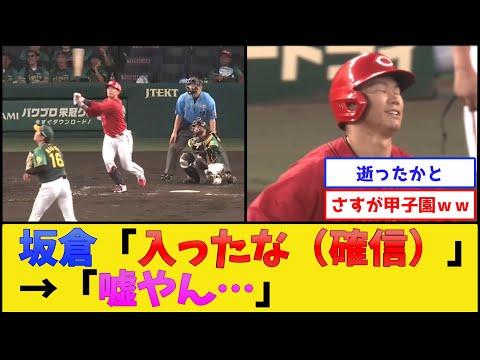 カープ坂倉、浜風にいじめられる【広島東洋カープvs阪神タイガース】【プロ野球なんJ 2ch プロ野球反応集】