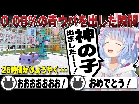 【神回】25時間かけ約0.08%の青ウパを繁殖させた瞬間と歓喜溢れる兎田ぺこら | Minecraft【ホロライブ/兎田ぺこら/切り抜き/マイクラ/青ウパ】 #兎田ぺこら