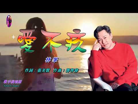 愛不疚   林峯〈歌手演唱 HD版〉