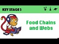 Understanding Food Chains and Food Webs