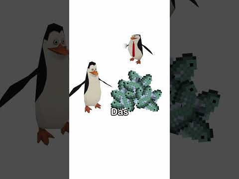 Steuerhinterziehung erklärt von Pinguin #catanimation #wissen
