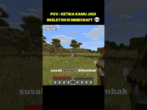 SKELETON JAVA VS BEDROCK ๐ฑ