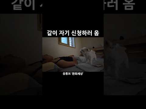 같이 자기 신청
