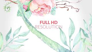 Wedding Mega Pack 2 12701122 Videohive – Free Download AE Project