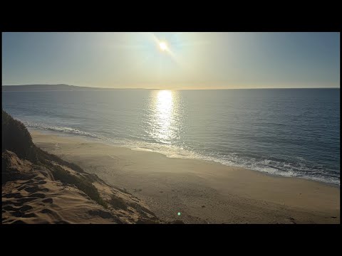 Chasing Wildlife at Sunset #ChasingWildlife #SunsetViews #NatureLive #sealions #OceanViews