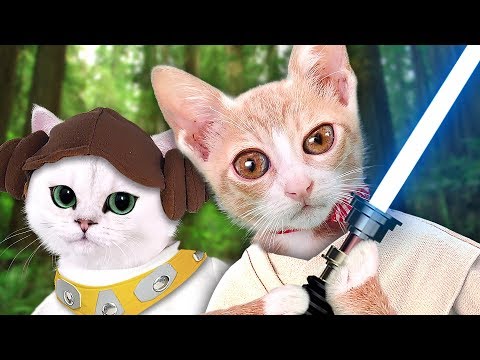 STAR CATS & PAW WARS