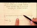 Understanding Fractions and Decimals