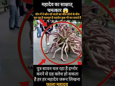 लोगों ने देखा शिवजी का चमत्कार! जानिए क्या है सच्चाई? #mahadev #shorts