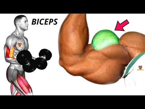 5 best biceps workout at gym / Les meilleurs exercises Musculation des biceps .