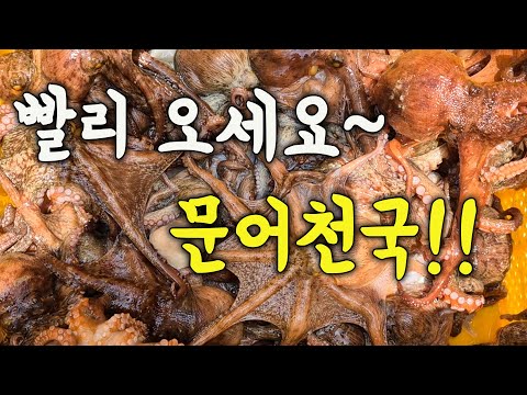 [다리tv] 와~ 왜 여길 몰랐지?! 던지면 물어주는 문어 천국!!!