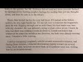 Travel Challenges and Narrator's Concerns