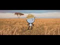 Conservación de Especies Gramaticales