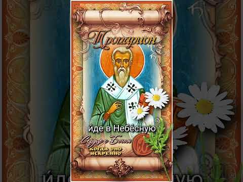29 июля Сщмч. Афиноген Севастийский и его 10 учеников (ок. 311г)