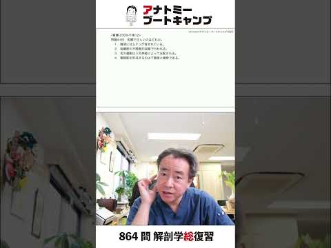 【4-65】咀嚼で正しいのはどれか