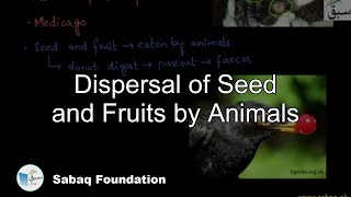 Dispersal of Seed and Fruits by Animals