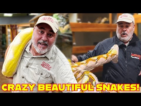 Angry Momma Python Defends Her Eggs! 🐍😡 (I Had to Act Fast!)