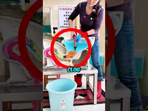 How to Unclog the Toilet 🤯
