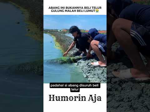 ABANG INI BIKIN TELUR GULUNG DARI LUMUT