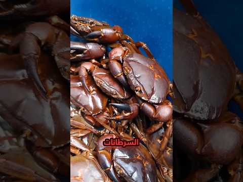 China’s Genius Farming Trick! 🦀🌾عباقرة الزراعة في الصين! ر! #facts #farming #حقائق_غريبة
